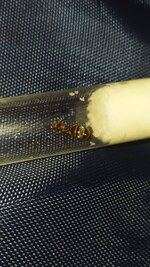 IMG_20210620_160923.jpg