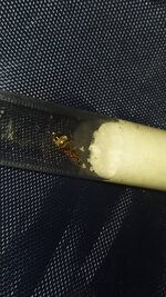 IMG_20210620_160817.jpg