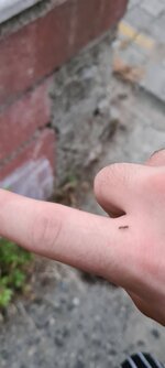 20210625_195904.jpg