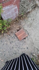 IMG-20210625-WA0078.jpeg