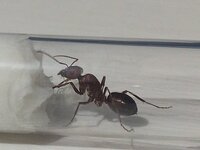 IMG_20210628_003446.jpg