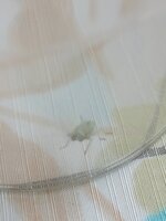 IMG_20210628_122416.jpg