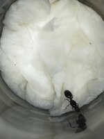 IMG_20210628_182031.jpg