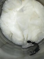 IMG_20210628_182055.jpg