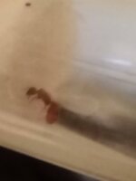 IMG_20210629_195418.jpg