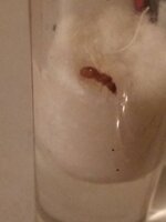 IMG_20210629_202115.jpg