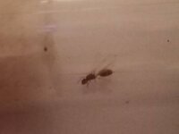IMG_20210629_210947.jpg