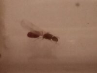 IMG_20210629_210837.jpg