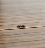 IMG_20210701_103801~2.jpg