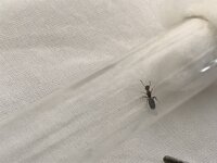 80E75985-5E53-4F9C-9D42-176B9D182CB5.jpeg