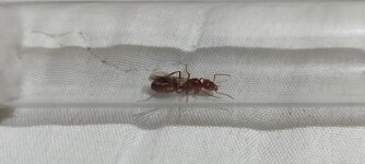 IMG_20210703_194036.jpg