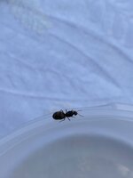 B0316779-C7C1-49F8-81F7-195F675DB9B1.jpeg