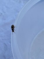 17291057-6CF8-4DFB-937A-BD8B436E90F1.jpeg