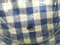 IMG_20210707_123915.jpg