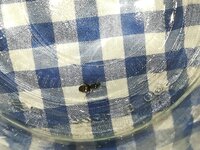 IMG_20210707_123913.jpg