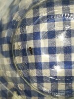 IMG_20210707_123858.jpg