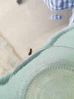 IMG_20210707_133520.jpg