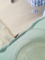 IMG_20210707_133519.jpg