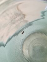 IMG_20210707_133514.jpg