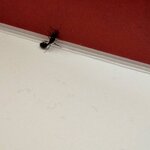 IMG_20210710_144304.jpg