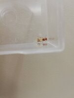 IMG_20210711_212307.jpg