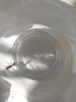 20210712_160420.jpg
