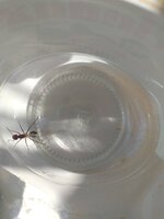20210712_160422.jpg