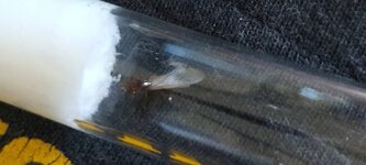 IMG_20210714_163713_N~2.jpg