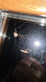 20210720_041852.jpg