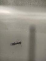 IMG_20210720_203640.jpg