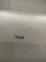 IMG_20210720_203635.jpg