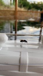 C60447C0-FBB1-4294-9C01-C53618935AA9.jpeg
