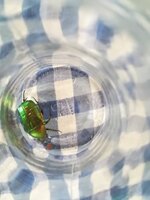 IMG_20210730_174835.jpg