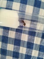 IMG_20210805_133357.jpg