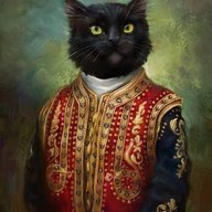 Aristokrat
