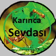 Yiğit Arda