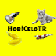 HobiAnts TR