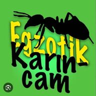 Egzotik Karıncam