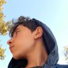 Alihan hoylu