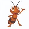 Thordius