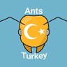 AntsTurkey