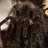 aRachNoid