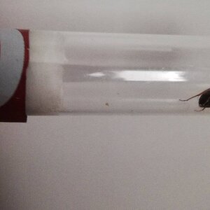 IMG_20220130_143952.jpg