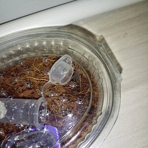 20220131_223519.jpg