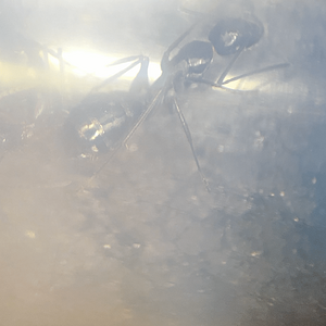 3EB25CD6-C705-43C9-8FA1-A688EADB2DC2.png
