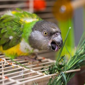 istockphoto-1027002274-612x612.jpg