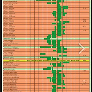 uc3a7uc59f-takvimi.jpg