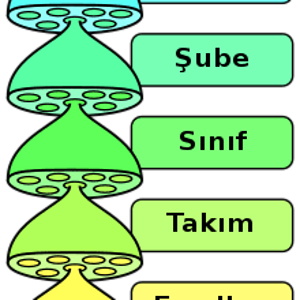 1645910168664.png