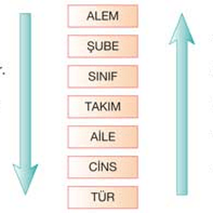 FF74264C-F6DA-4840-B5B6-C814297A3EC3.png