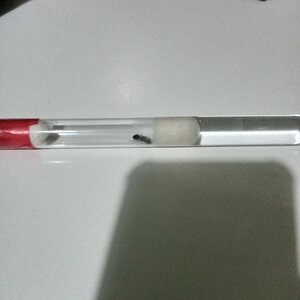IMG20220228222115.jpg